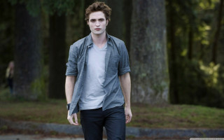 Man walking forest gray shirt - a street next free wallpaper