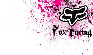 Pink black fox logo paint - adam rex free wallpaper