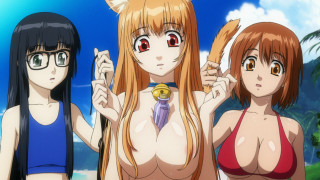 Anime girls bikini beach cat - furry art free wallpaper