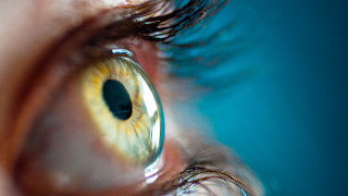 Close up eye blue background - macro len free wallpaper