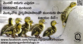 Ducks walking together quote poem - a picture of a group free wallpaper