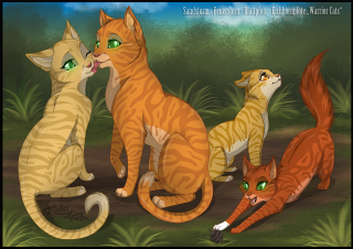 Cats group grass green eyes - official free wallpaper for desktop