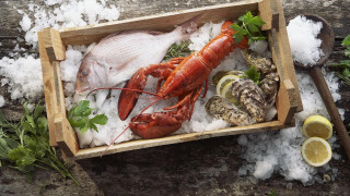 Lobster oysters woodenbox ice lemons - ice free wallpaper