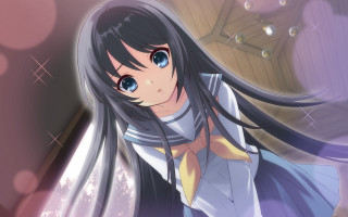 Anime girl black hair blue 9 - a yellow tie free wallpaper