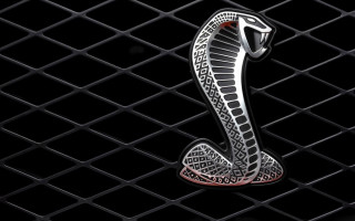 Snake black background red stripe - a red stripe free wallpaper for desktop