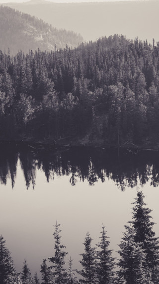 Lake trees mountains foggy sky 2 - cinematic photography free wallpaper