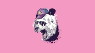Bear sunglasses baseballcap pink pop - sunglass and a hat free wallpaper