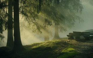 Bench hill forest fog sun - artur tarnowski free wallpaper
