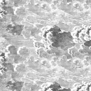 Plane clouds flemish baroque monochrome - a flemish baroque free wallpaper