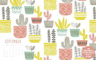 Calendar cactus succulents plants nature - a calendar free wallpaper