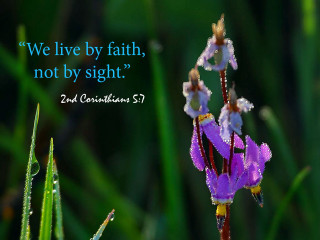 Purple flower bible verse green 2 - a bible verse free wallpaper