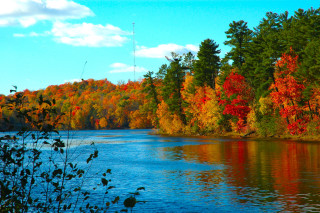 Lake trees fall colors blue 4 - color free wallpaper