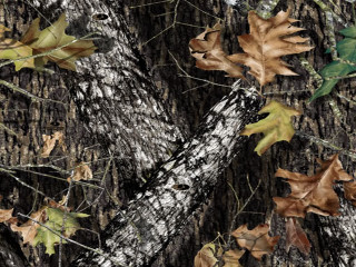Tree leaves camouflage background white - andy goldsworthy free wallpaper