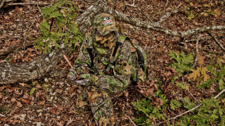Camouflaged man woods frisbee tree 2 - man free wallpaper