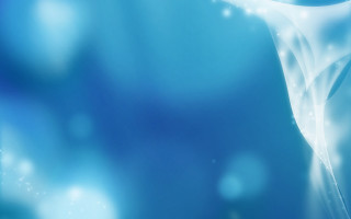 Blue background white flower side - art free wallpaper