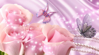 Pink rose butterfly purple background - the bottom of the image free wallpaper
