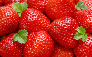 Strawberries green leaves closeup red - strawberry free wallpaper