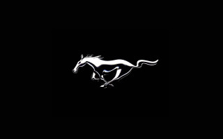 Horse running black background white - a white outline free wallpaper