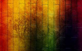 Rainbow colored wall tree background - wall free wallpaper