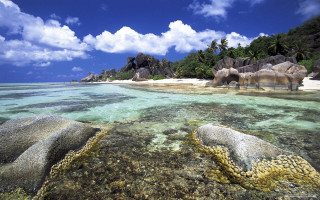 Beach rocks corals blue sky 2 - beautiful free wallpaper for desktop