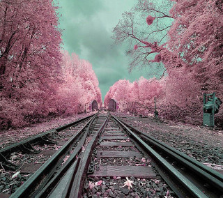 Train track trees building pink - a cloudy sky free wallpaper