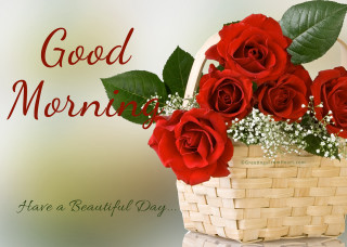 Basket roses good morning beautiful - good free wallpaper