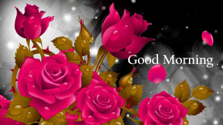Pink roses good morning message - a bouquet free wallpaper