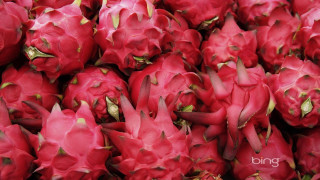 Dragon fruit red flesh green - green stem free wallpaper