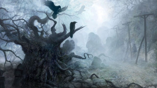 Forest bird tree stump path - a painting of a forest free wallpaper