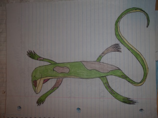 Lizard drawing pencil mouth tail - fullbody free wallpaper
