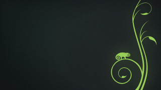 Green wall plant chameleon black - a green wall free wallpaper