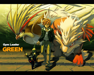 Man large animal street cat - a cat and a dog free wallpaper