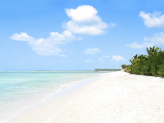 Beach white sand blue water 6 - blue water free wallpaper
