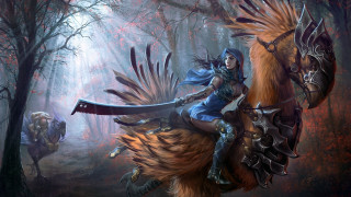 Woman riding bird forest sword - league of legends concept art free wallpaper