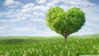 Heart shaped tree field flowers 8 - ecological art free wallpaper for desktop