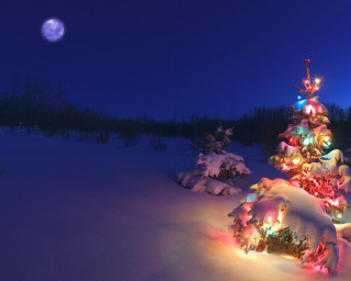 Christmas tree snow night full 3 - the snow free wallpaper