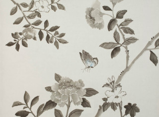 Flowers butterflies white background border - a silk screen free wallpaper