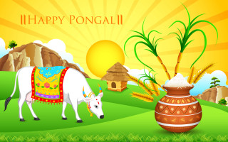 Cow vase rice sun sky - aaa game free wallpaper
