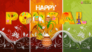 Colorful background happy pongaal message - vibrant colour free wallpaper
