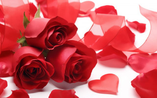 Red roses hearts white background 2 - araceli gilbert free wallpaper