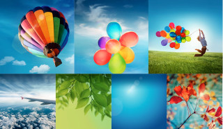 Balloons tree person holding air - a bunch of balloons free wallpaper