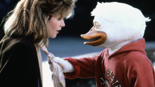 Woman person mask duck mask - their face free wallpaper