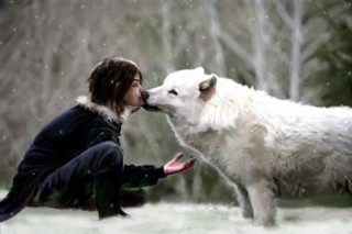 Woman dog kissing snow trees - free dogs wallpaper