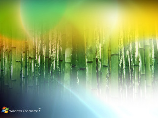 Colorful background trees rainbow light - a bunch of trees free wallpaper
