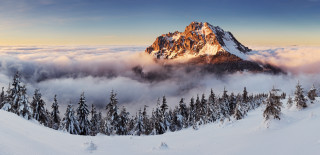 Mountain clouds trees snowy slope - cloud and trees free wallpaper