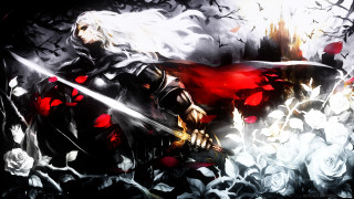 Woman sword field flowers roses - dark soul free wallpaper