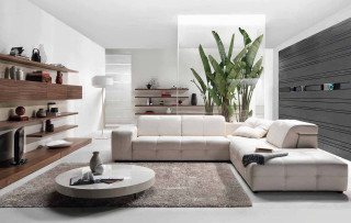 Living room couch table plant - neutral free wallpaper