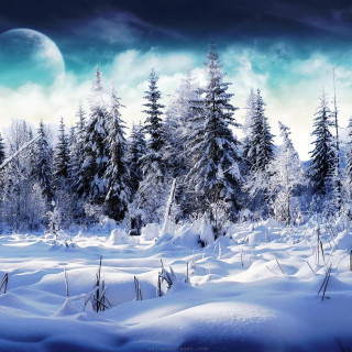 Snowy landscape full moon trees - dark free wallpaper