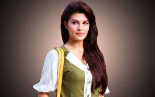 Woman long hair purse posing - an oil free wallpaper