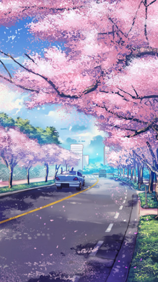 Car street pink flowers bench - the side of the road free wallpaper